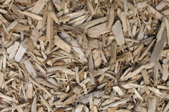biomass boilers Stoneacton